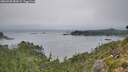 ./images/calvert/foggy-cove/20260905/foggy-cove20260905_082001M.jpg