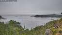 ./images/calvert/foggy-cove/20260905/foggy-cove20260905_082501M.jpg