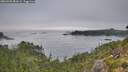 ./images/calvert/foggy-cove/20260905/foggy-cove20260905_083002M.jpg