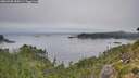 ./images/calvert/foggy-cove/20260905/foggy-cove20260905_084501M.jpg