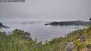./images/calvert/foggy-cove/20260905/foggy-cove20260905_091501M.jpg