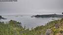 ./images/calvert/foggy-cove/20260905/foggy-cove20260905_093001M.jpg