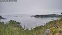 ./images/calvert/foggy-cove/20260905/foggy-cove20260905_094501M.jpg