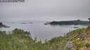 ./images/calvert/foggy-cove/20260905/foggy-cove20260905_100002M.jpg