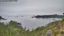 ./images/calvert/foggy-cove/20260905/foggy-cove20260905_100501M.jpg