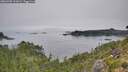 ./images/calvert/foggy-cove/20260905/foggy-cove20260905_102002M.jpg