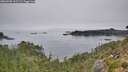 ./images/calvert/foggy-cove/20260905/foggy-cove20260905_102501M.jpg