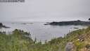 ./images/calvert/foggy-cove/20260905/foggy-cove20260905_103501M.jpg
