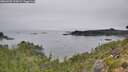 ./images/calvert/foggy-cove/20260905/foggy-cove20260905_104501M.jpg