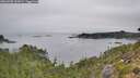 ./images/calvert/foggy-cove/20260905/foggy-cove20260905_105001M.jpg