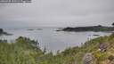 ./images/calvert/foggy-cove/20260905/foggy-cove20260905_105501M.jpg