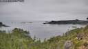 ./images/calvert/foggy-cove/20260905/foggy-cove20260905_111001M.jpg