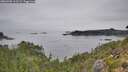 ./images/calvert/foggy-cove/20260905/foggy-cove20260905_111502M.jpg
