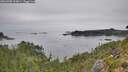 ./images/calvert/foggy-cove/20260905/foggy-cove20260905_112001M.jpg