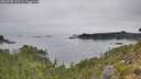 ./images/calvert/foggy-cove/20260905/foggy-cove20260905_112501M.jpg