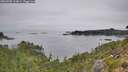 ./images/calvert/foggy-cove/20260905/foggy-cove20260905_113001M.jpg
