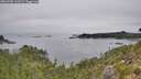 ./images/calvert/foggy-cove/20260905/foggy-cove20260905_113501M.jpg