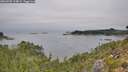 ./images/calvert/foggy-cove/20260905/foggy-cove20260905_114001M.jpg