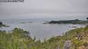 ./images/calvert/foggy-cove/20260905/foggy-cove20260905_114501M.jpg