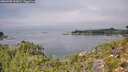 ./images/calvert/foggy-cove/20260905/foggy-cove20260905_122001M.jpg