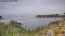 ./images/calvert/foggy-cove/20260905/foggy-cove20260905_123002M.jpg