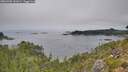 ./images/calvert/foggy-cove/20260905/foggy-cove20260905_131001M.jpg