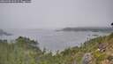 ./images/calvert/foggy-cove/20260905/foggy-cove20260905_133502M.jpg
