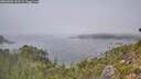 ./images/calvert/foggy-cove/20260905/foggy-cove20260905_142501M.jpg