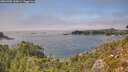 ./images/calvert/foggy-cove/20260905/foggy-cove20260905_145001M.jpg