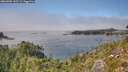 ./images/calvert/foggy-cove/20260905/foggy-cove20260905_145501M.jpg