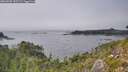 ./images/calvert/foggy-cove/20260905/foggy-cove20260905_152502M.jpg