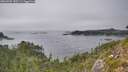 ./images/calvert/foggy-cove/20260905/foggy-cove20260905_155501M.jpg