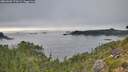 ./images/calvert/foggy-cove/20260905/foggy-cove20260905_170502M.jpg