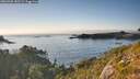 ./images/calvert/foggy-cove/20260905/foggy-cove20260905_182501M.jpg