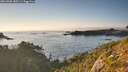 ./images/calvert/foggy-cove/20260905/foggy-cove20260905_185501M.jpg