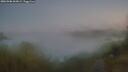 ./images/calvert/foggy-cove/20260906/foggy-cove20260906_063002M.jpg
