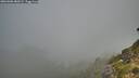 ./images/calvert/foggy-cove/20260906/foggy-cove20260906_080501M.jpg