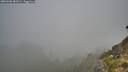 ./images/calvert/foggy-cove/20260906/foggy-cove20260906_081002M.jpg