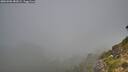 ./images/calvert/foggy-cove/20260906/foggy-cove20260906_083001M.jpg
