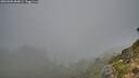 ./images/calvert/foggy-cove/20260906/foggy-cove20260906_084001M.jpg