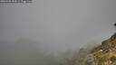 ./images/calvert/foggy-cove/20260906/foggy-cove20260906_084501M.jpg