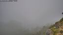 ./images/calvert/foggy-cove/20260906/foggy-cove20260906_085001M.jpg