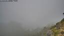 ./images/calvert/foggy-cove/20260906/foggy-cove20260906_085501M.jpg