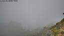 ./images/calvert/foggy-cove/20260906/foggy-cove20260906_090502M.jpg