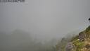 ./images/calvert/foggy-cove/20260906/foggy-cove20260906_091001M.jpg