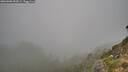 ./images/calvert/foggy-cove/20260906/foggy-cove20260906_092001M.jpg