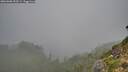 ./images/calvert/foggy-cove/20260906/foggy-cove20260906_092501M.jpg