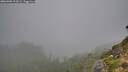 ./images/calvert/foggy-cove/20260906/foggy-cove20260906_093001M.jpg