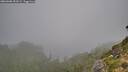 ./images/calvert/foggy-cove/20260906/foggy-cove20260906_093502M.jpg