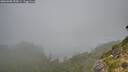 ./images/calvert/foggy-cove/20260906/foggy-cove20260906_095001M.jpg